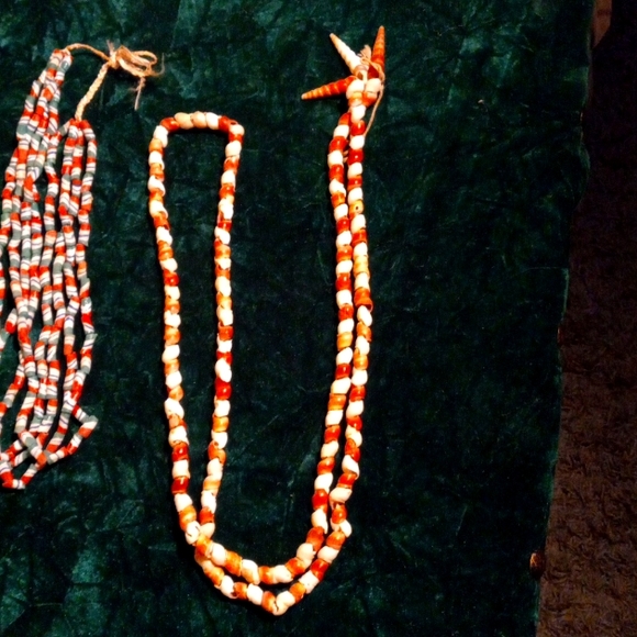 F-24 Sea Shell lot - Picture 2 of 4